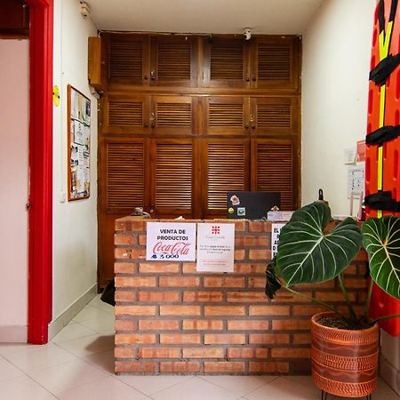 Hotel Casa Grande Jardin Ngoại thất bức ảnh